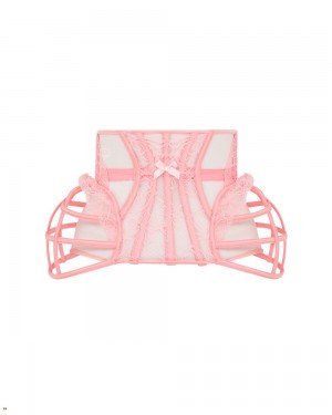 Agent Provocateur Rozlyn Waspie Women's Corset Pink | BRUVTEJ-65