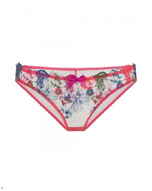 Agent Provocateur Zuri Women's Brief Multicolor | TAMNREY-41