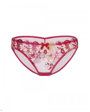 Agent Provocateur Zuri Women's Brief Multicolor | WLOHYVC-32