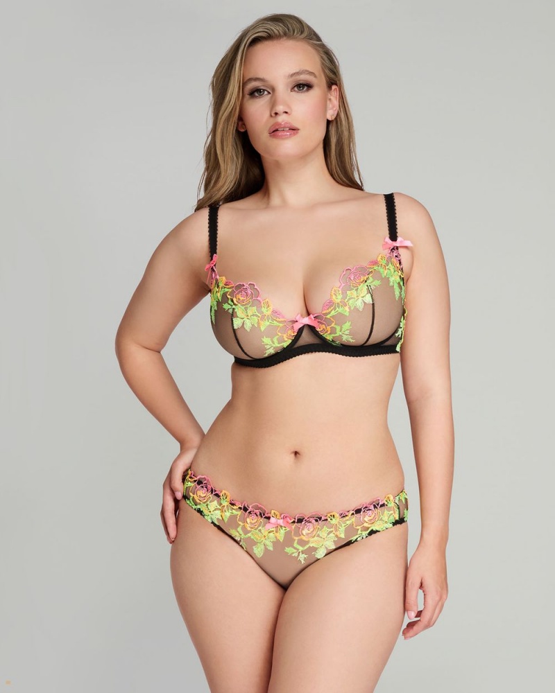 Agent Provocateur Callypso Women's Brief Multicolor | KMFVXYQ-48