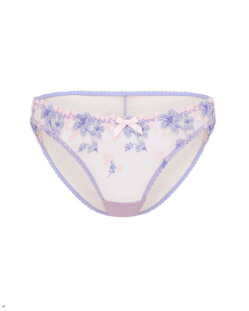 Agent Provocateur Cyrene Women\'s Brief Blue Pink | RMXQJLI-08