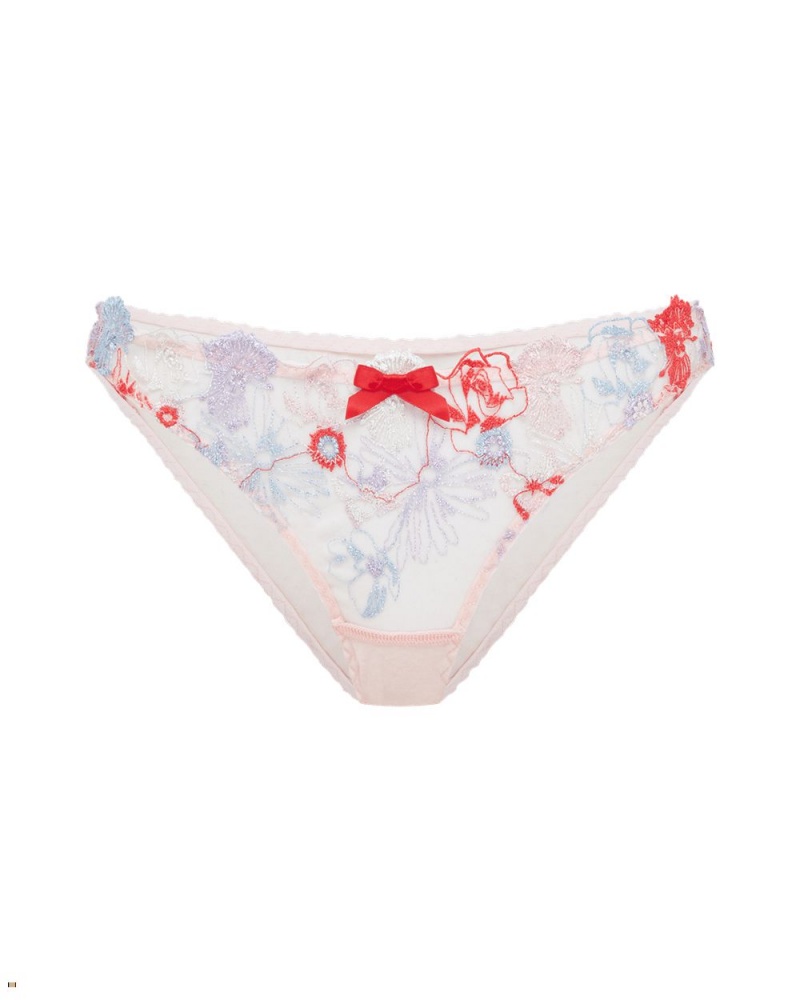 Agent Provocateur Zuri Women\'s Brief Multicolor | TGARBVE-48