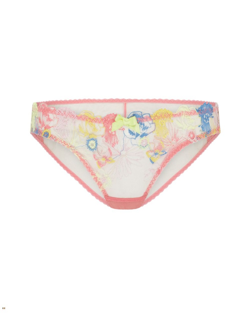 Agent Provocateur Zuri Women\'s Brief Multicolor | DOZPWLX-60