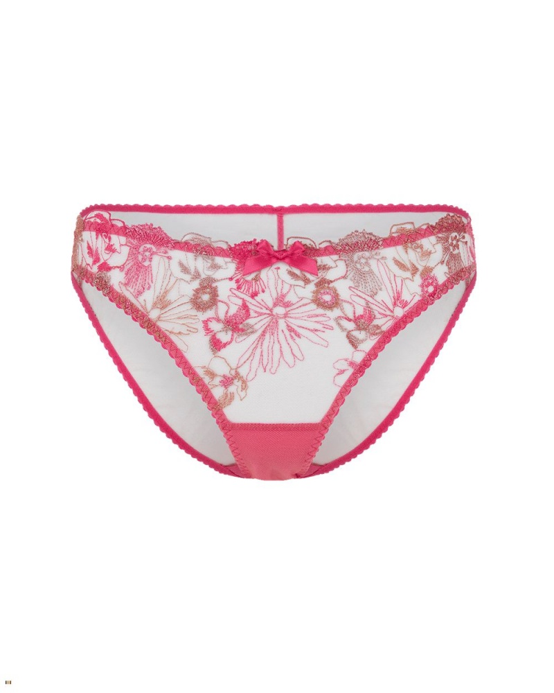 Agent Provocateur Zuri Women\'s Brief Pink | QUCDJHI-91