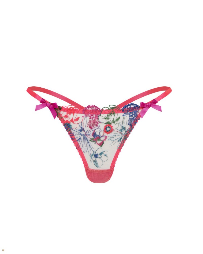 Agent Provocateur Zuri Women\'s Thong Multicolor | URAKIGN-64